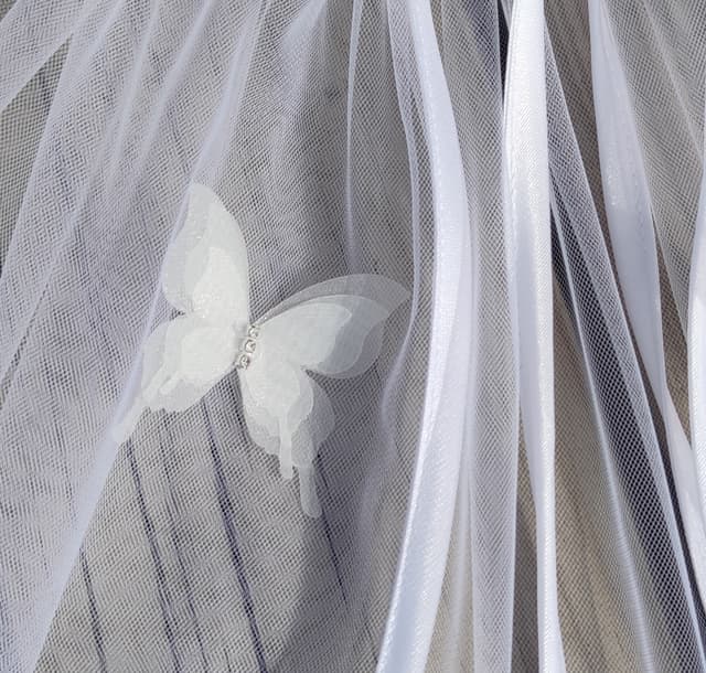 IMG_20240408_110606 - Copy